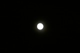 IMG_0088_RJ